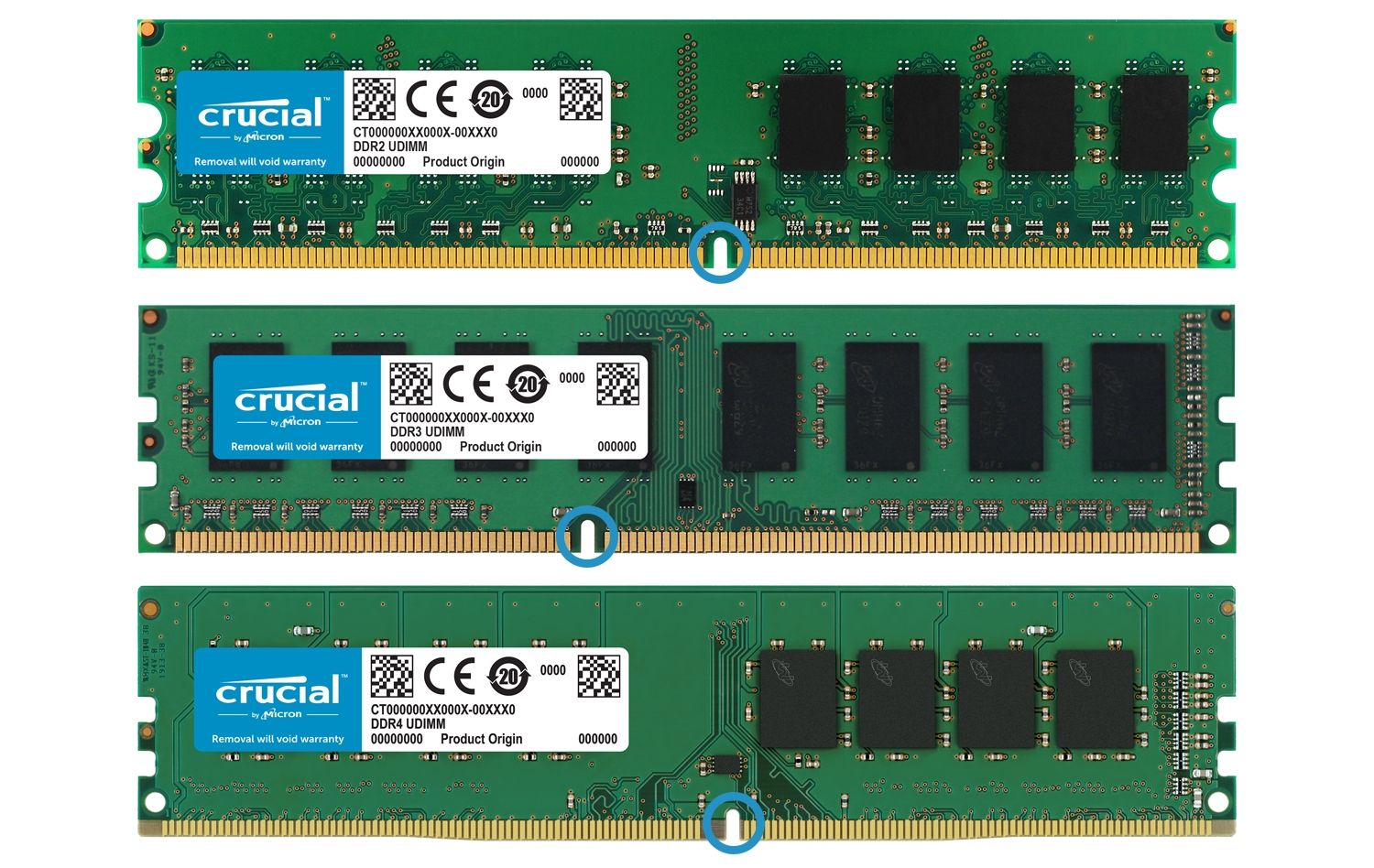 Tre generazioni di moduli di memoria RAM Crucial sono posizionati uno accanto all’altro per evidenziare le differenze nella forma fisica della memoria in ogni generazione
